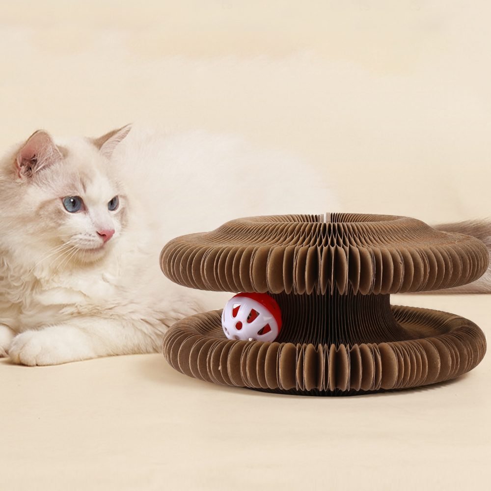 White fluffy cat sitting beside the Magic Organ accordion scratch board in mushroom shape, with a red toy ball in the track groove.