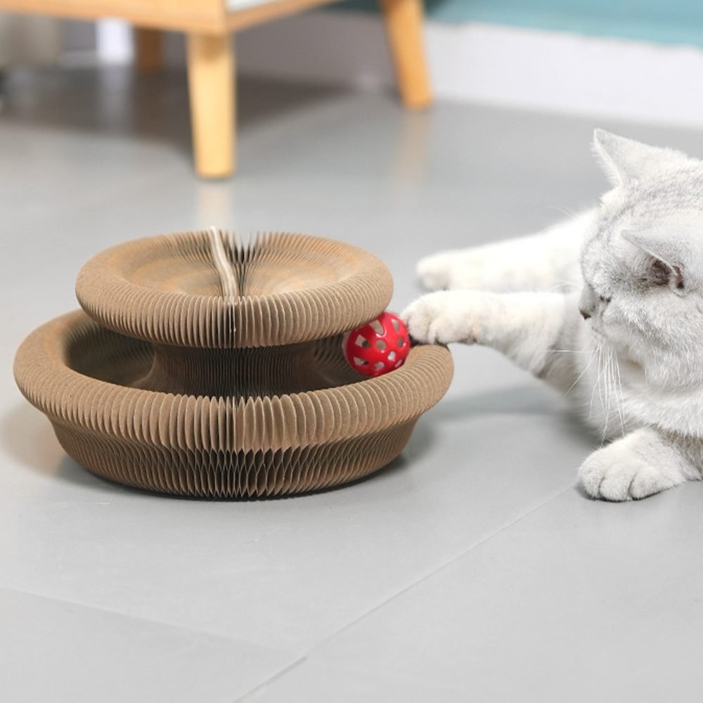 White cat playfully batting the red toy ball on the Magic Organ accordion scratch board in flat disc shape.